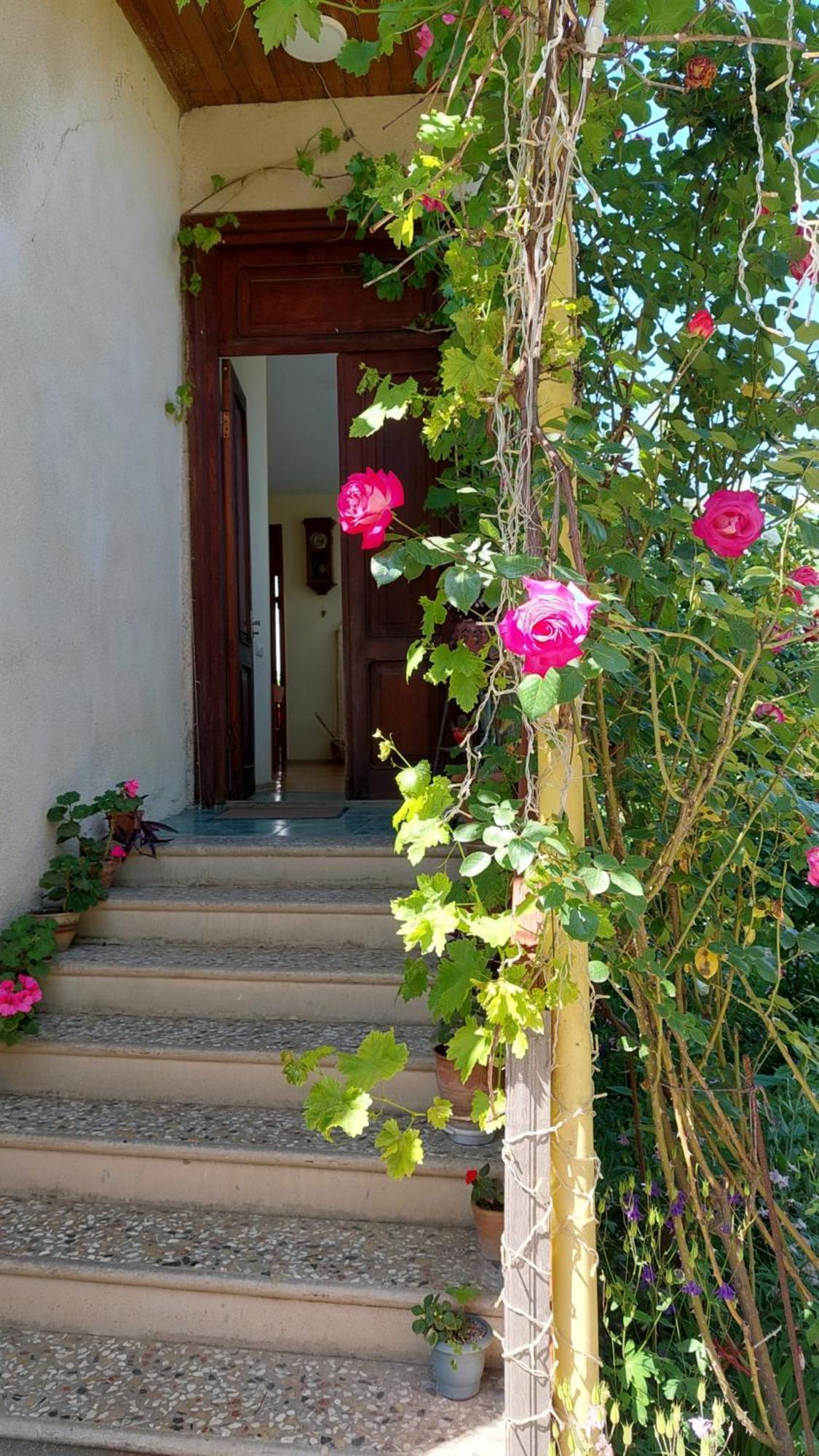 Guesthouse "Door" In Sighnaghi Signagi Exterior foto